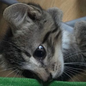 Meet your Posher, Andy